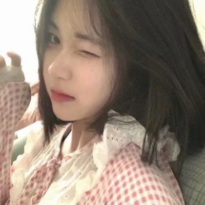 棕榈树森林