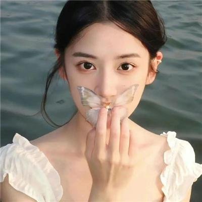 鹿枫堂四色日和2022
